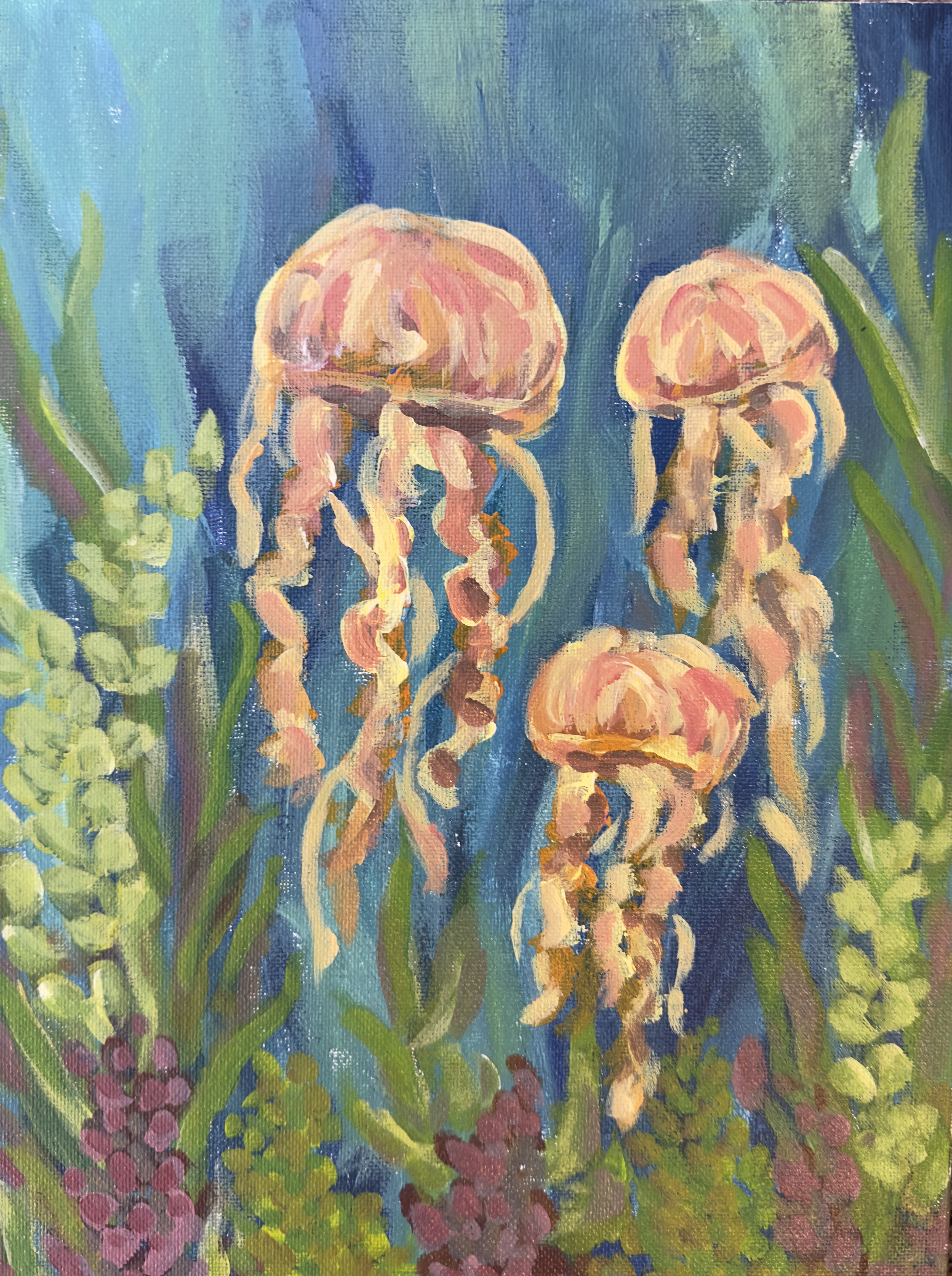Jellyfish Friends